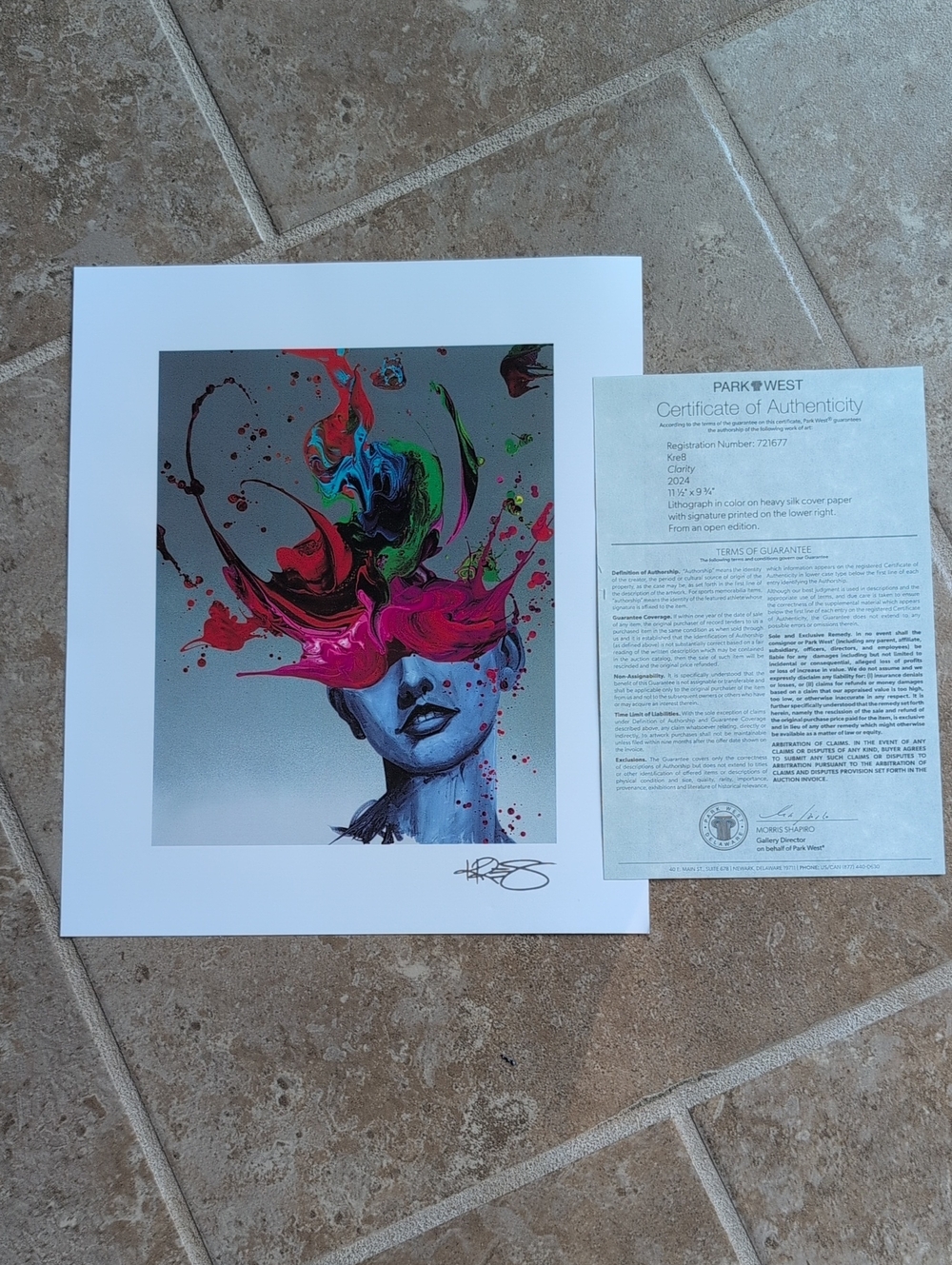 Kre8 Clarity Abstract Splash Portrait Art Print - Multicolor